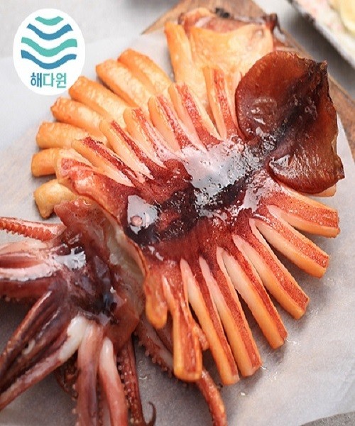 해를품은 반건조 오징어 특대 5미 (880~900g)